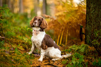 Bramble