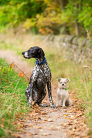 Dog Photographer near Leeds in Yorkshire