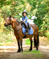 Horse equine photographer Harrogate North Yorkshire pony photography