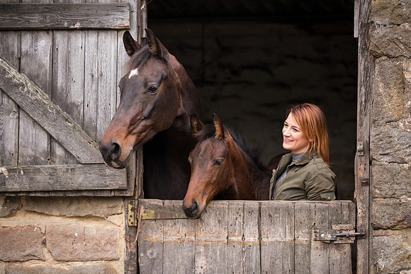 Horse portrait photography Harrogate