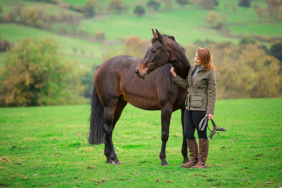 Horse portrait photography Harrogate