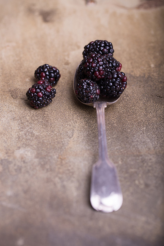 Product food Photography  Harorgate