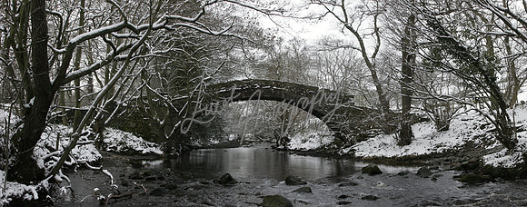 Dob Park North Yorkshire Elliot Photography