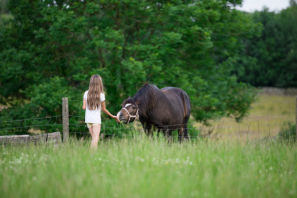 Horse photoshoots near Harrogate photographer