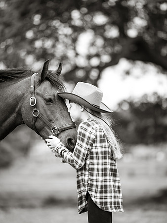 Horse photoshoots near Harrogate photographer