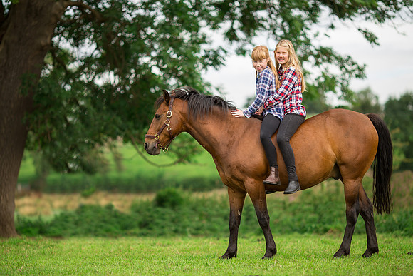 Horse and pony photographer otley, West Yorkshire pony photography