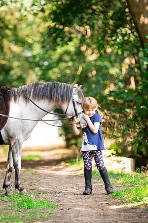 Horse equine photographer Harrogate North Yorkshire pony photography