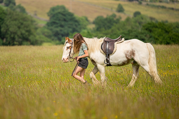 Horse and pony photographer Ilkley, West Yorkshire pony photography