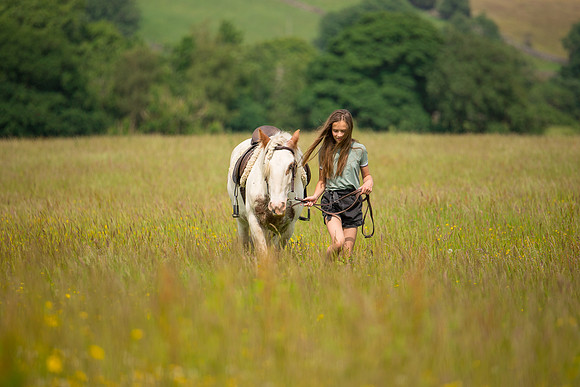 Horse equine photographer Leeds West Yorkshire pony photography