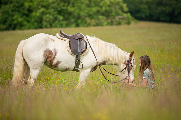 Horse and pony photographer otley, West Yorkshire pony photography