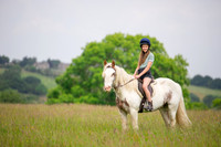 Horse equine photographer Harrogate North Yorkshire pony photography