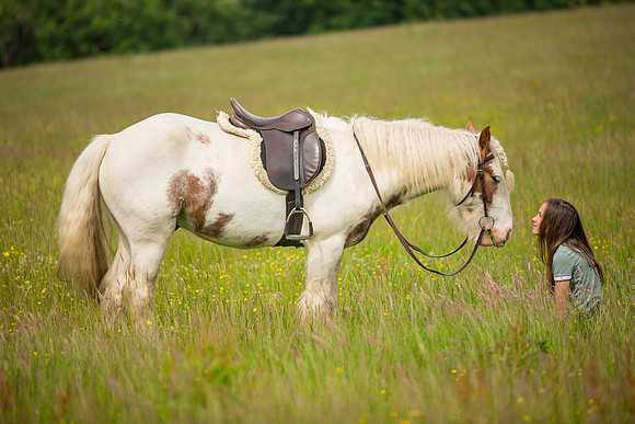 Horse equine photographer Leeds West Yorkshire pony photography
