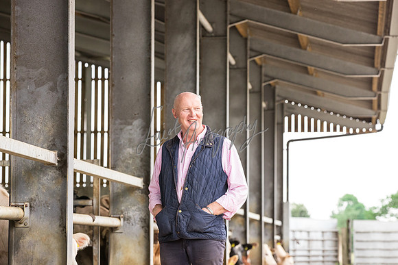 Farming & agricultural images from farms in Yorkshire