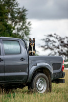 Farming & agricultural images from farms in Yorkshire