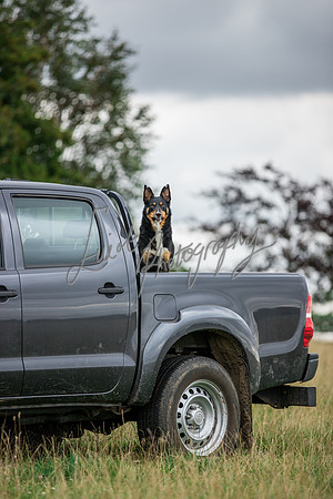 Farming & agricultural images from farms in Yorkshire