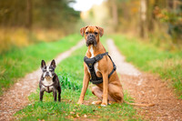 Molly & Hugo