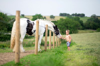Horse equine photographer Harrogate North Yorkshire pony photography