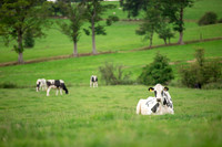 Farm agricultural photography
