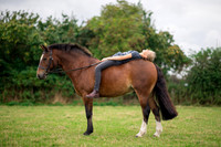 Horse equine photographer Harrogate North Yorkshire pony photography