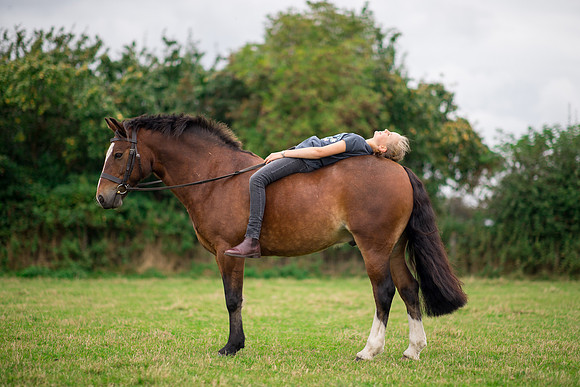 Horse equine photographer Harrogate North Yorkshire pony photography
