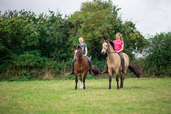 Horse equine photographer Leeds West Yorkshire pony photography