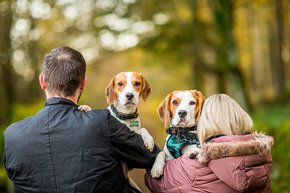 Dog pet photographer near harrogate Yorkshire