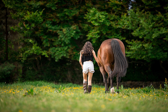 Horse equine photographer Harrogate North Yorkshire pony photography