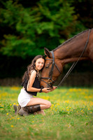Horse equine photographer Harrogate North Yorkshire pony photography