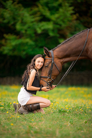 Horse equine photographer Harrogate North Yorkshire pony photography