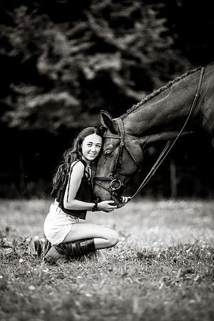 Horse equine photographer Leeds West Yorkshire pony photography