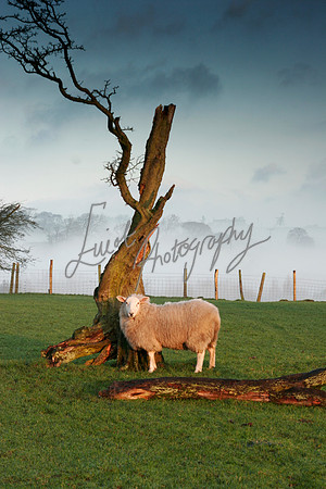 Washburn Valley Otley Elliot Photography