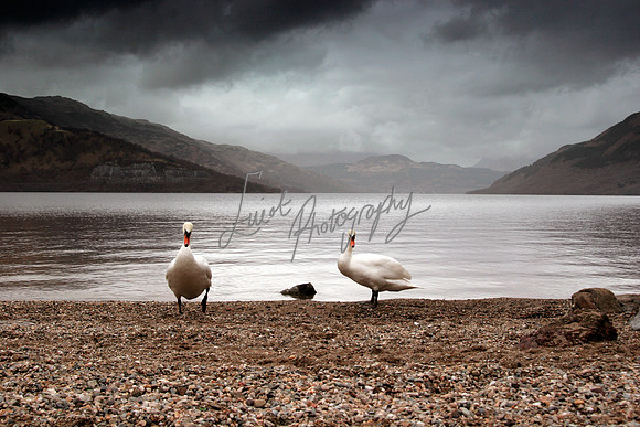 Loch Lomond Scotland Elliot Photography